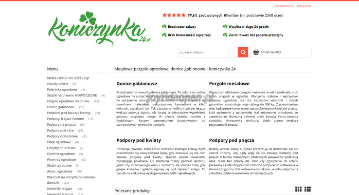 Koniczynka 24